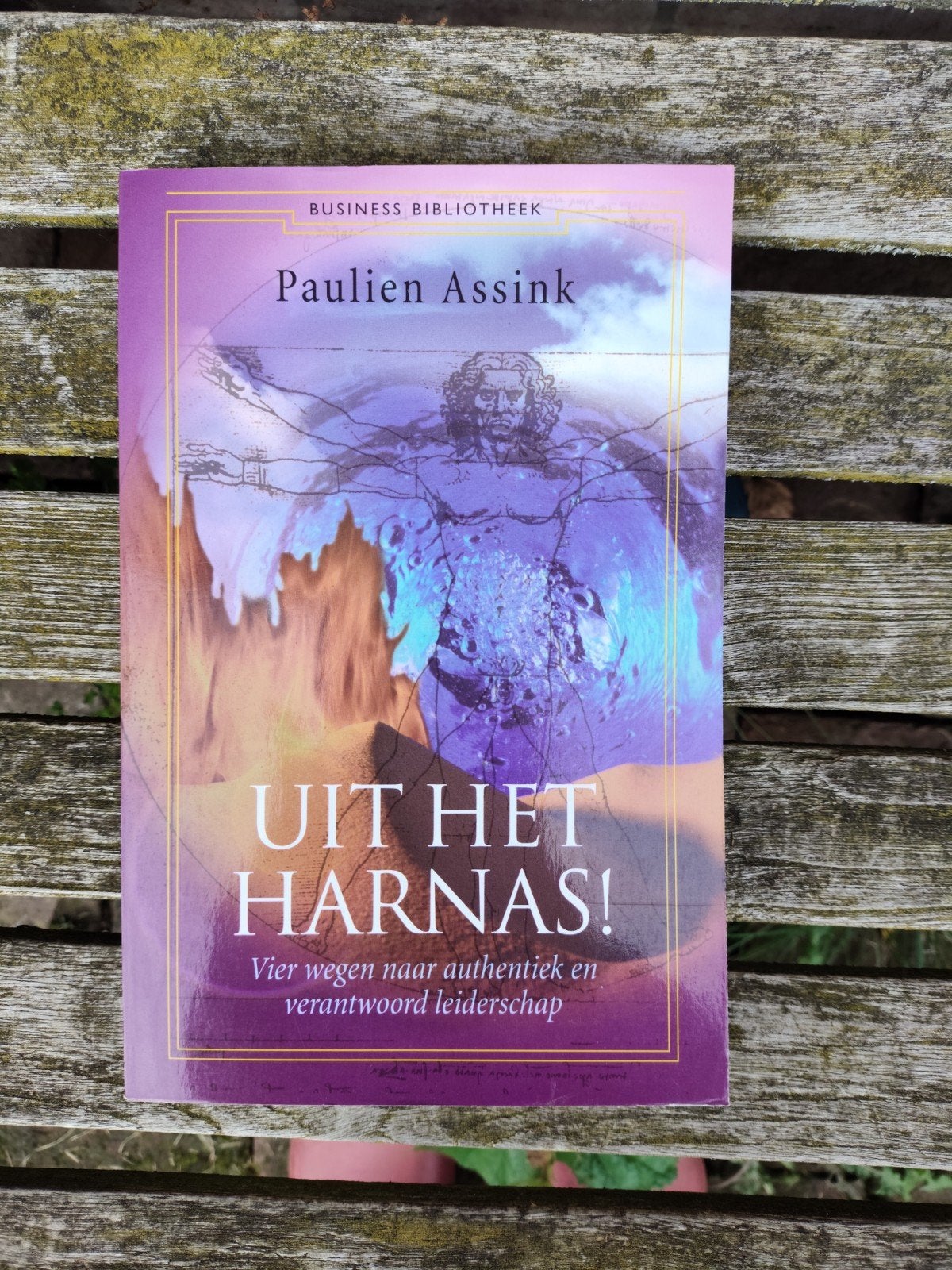Paulien Assink - Uit het harnas!., Ophalen of Verzenden, Zo goed als nieuw, Paulien Assink