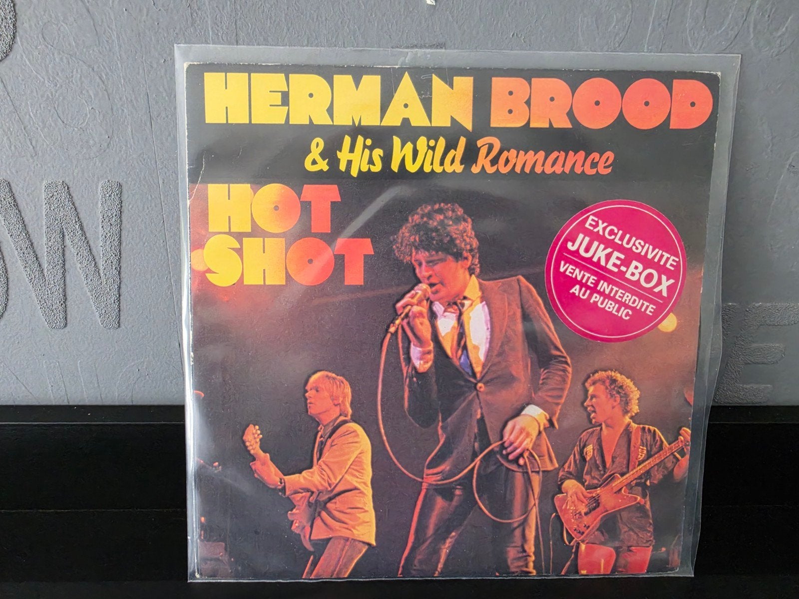 herman brood single france, Cd's en Dvd's, Verzenden, Gebruikt, Pop