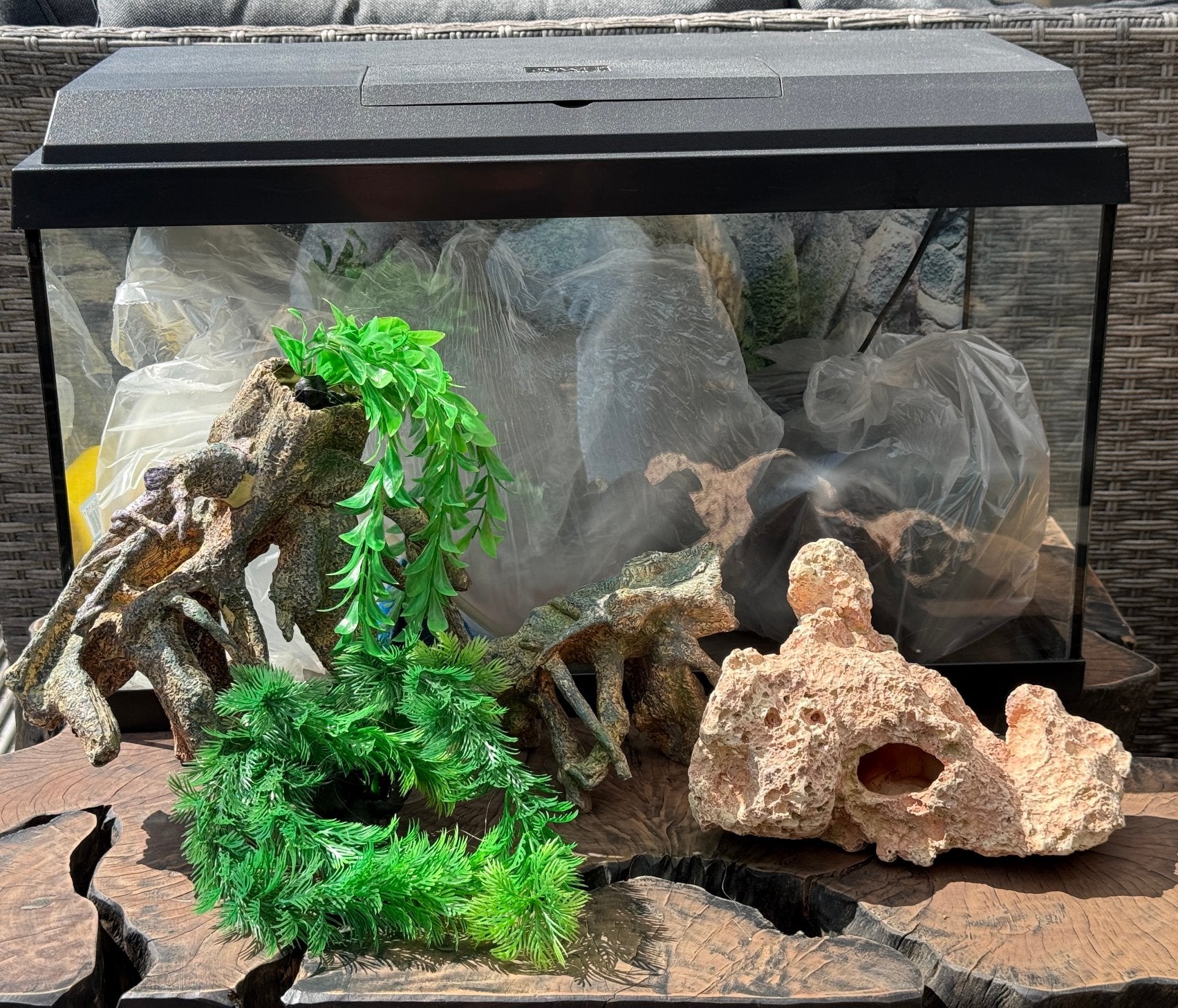 Juwel 60 aquarium compleet met decoratie, Ophalen, Inclusief toebehoren, Gebruikt, Juwel