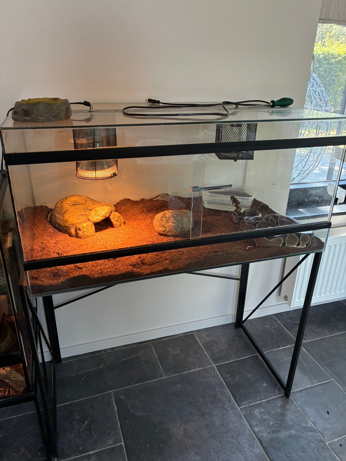 Groot Terrarium, Ophalen, Gebruikt, Terrarium of Paludarium