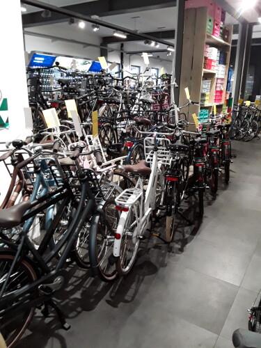 Cortina transportfietsen, family en beltdrive U4 Mozzo Commo, Fietsen en Brommers, Niet ingevuld, Nieuw, Niet ingevuld, Niet ingevuld