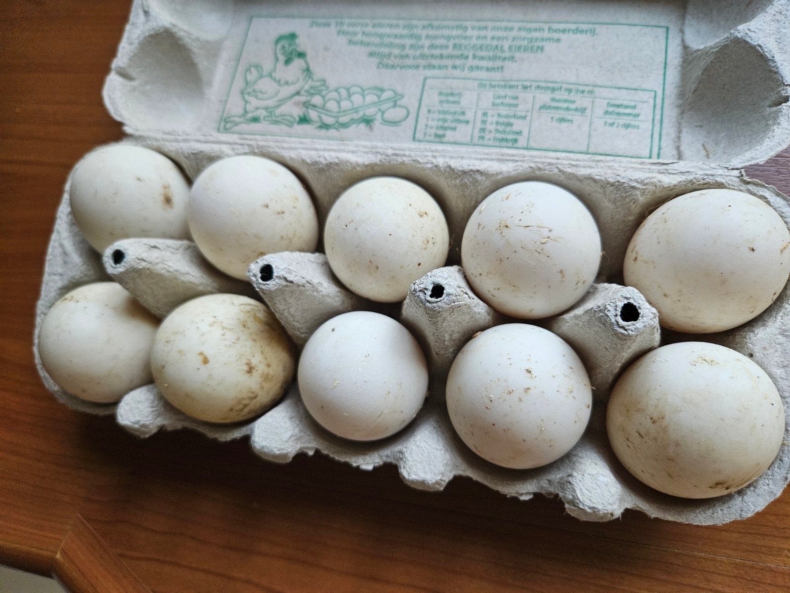 Indische loopeend broedeieren bont kleur, Dieren en Toebehoren, Pluimvee | Toebehoren, Ophalen, Overige typen