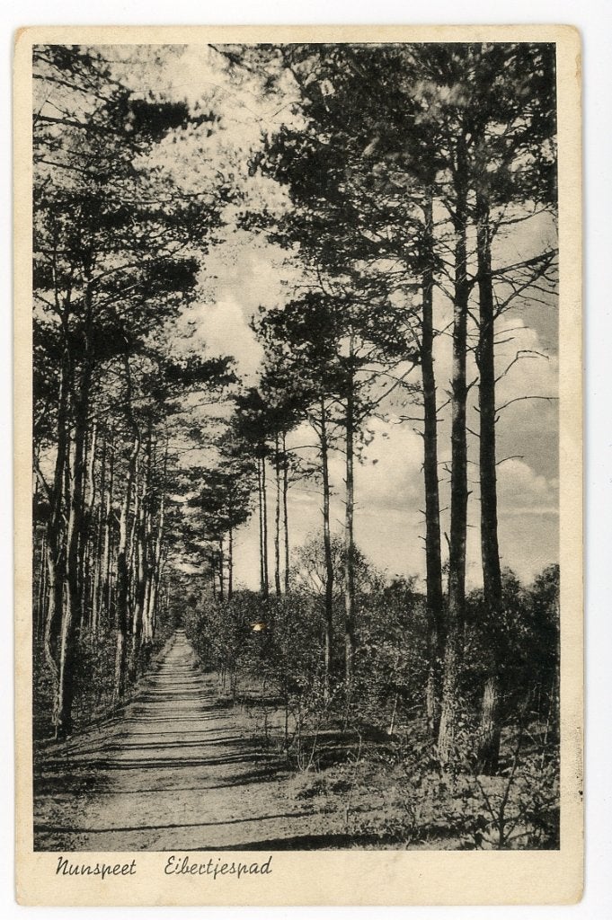Nunspeet, Verzenden, 1940 tot 1960, Gelopen, Gelderland