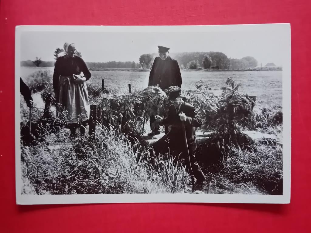 Ansichtkaart Almen, Ophalen of Verzenden