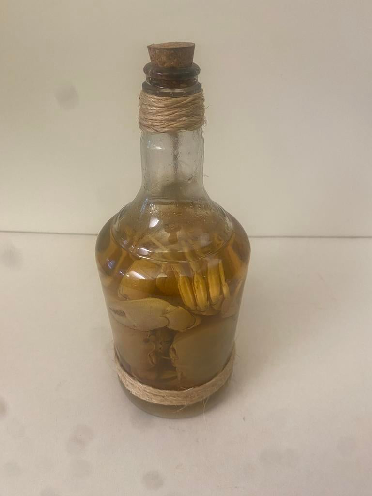 Vintage schoolmateriaal: Krabben op sterkwater (jaren '60), Ophalen of Verzenden