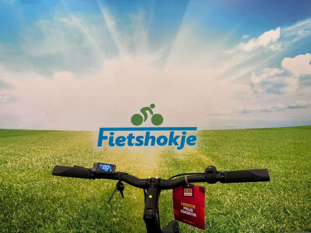 Fietshokje Amersfoort: Nieuwe Raaks Urban E-Bike, Fietsen en Brommers, Elektrische fietsen, Niet ingevuld, Nieuw, Ophalen of Verzenden