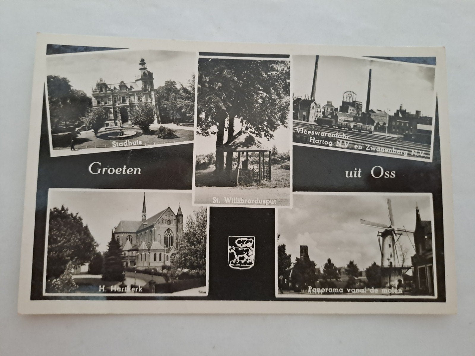 oss, Ophalen of Verzenden, Noord-Brabant