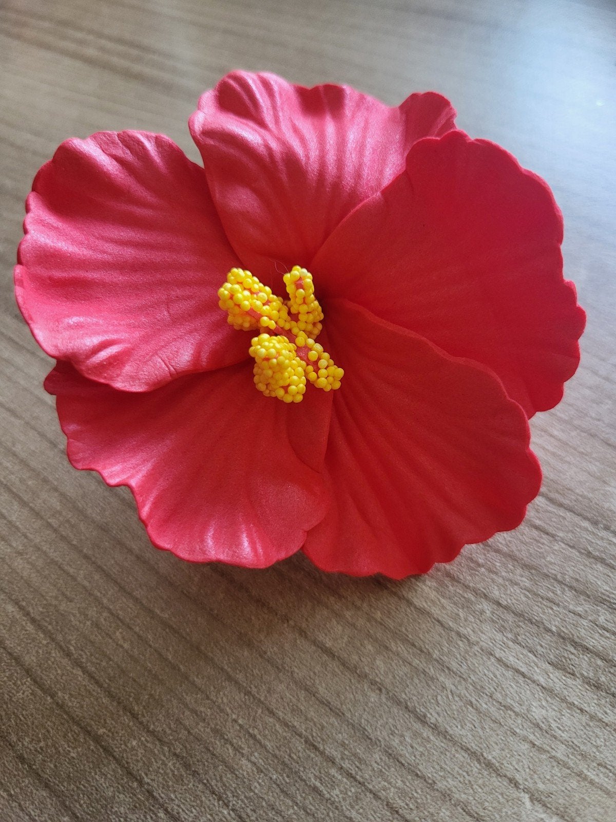 Nieuwe Rode Hibiscus Haarclip - Tropische Bloem Accessoire, Ophalen of Verzenden, Nieuw