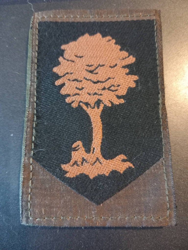 Embleem Opleidings- en trainingscommando, Verzenden, Landmacht, Nederland, Embleem of Badge