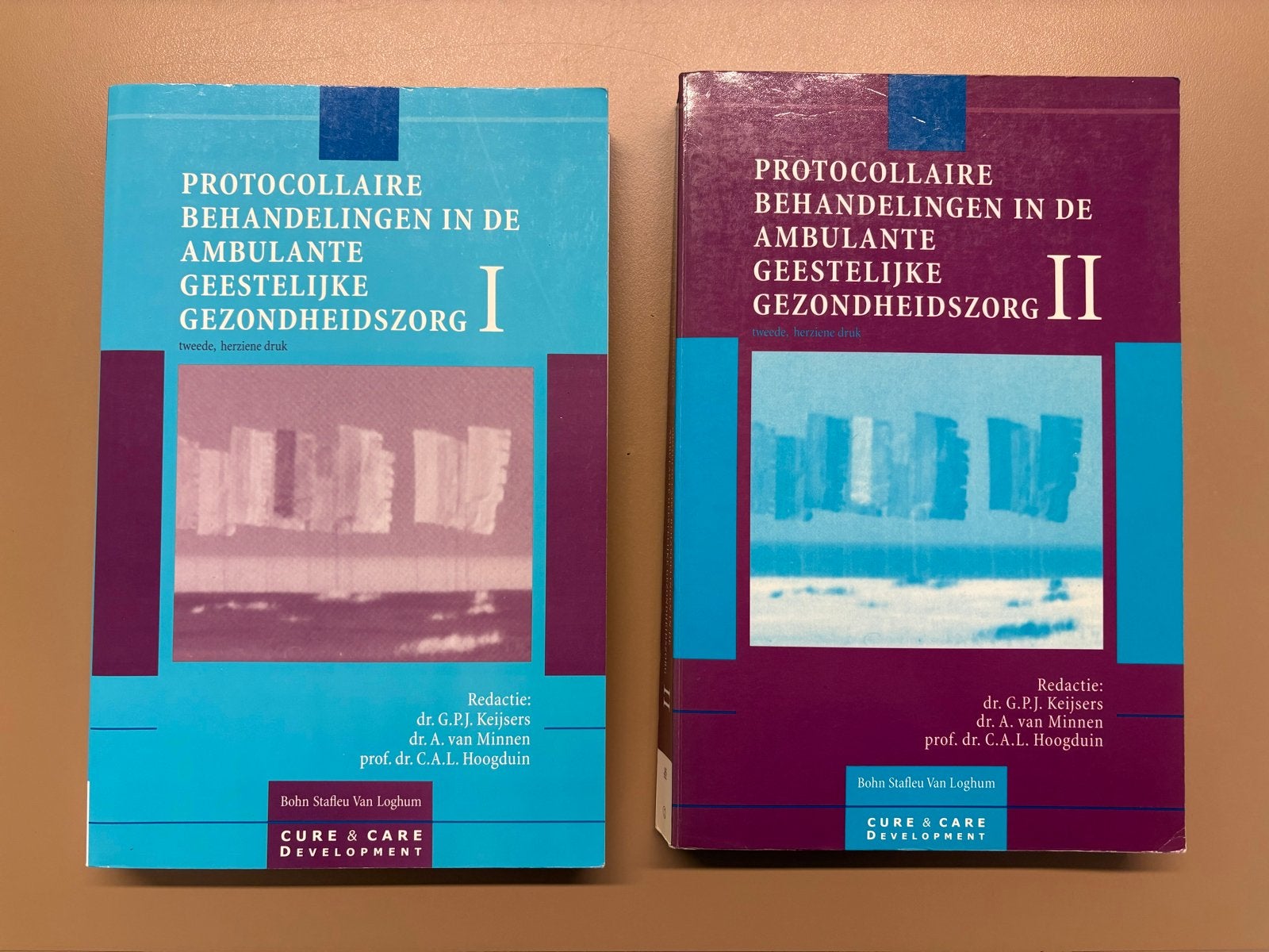 Protocollaire Behandelingen Geestelijke Gezondheidszorg I &, Boeken, Ophalen of Verzenden, Gamma, Gelezen, HBO