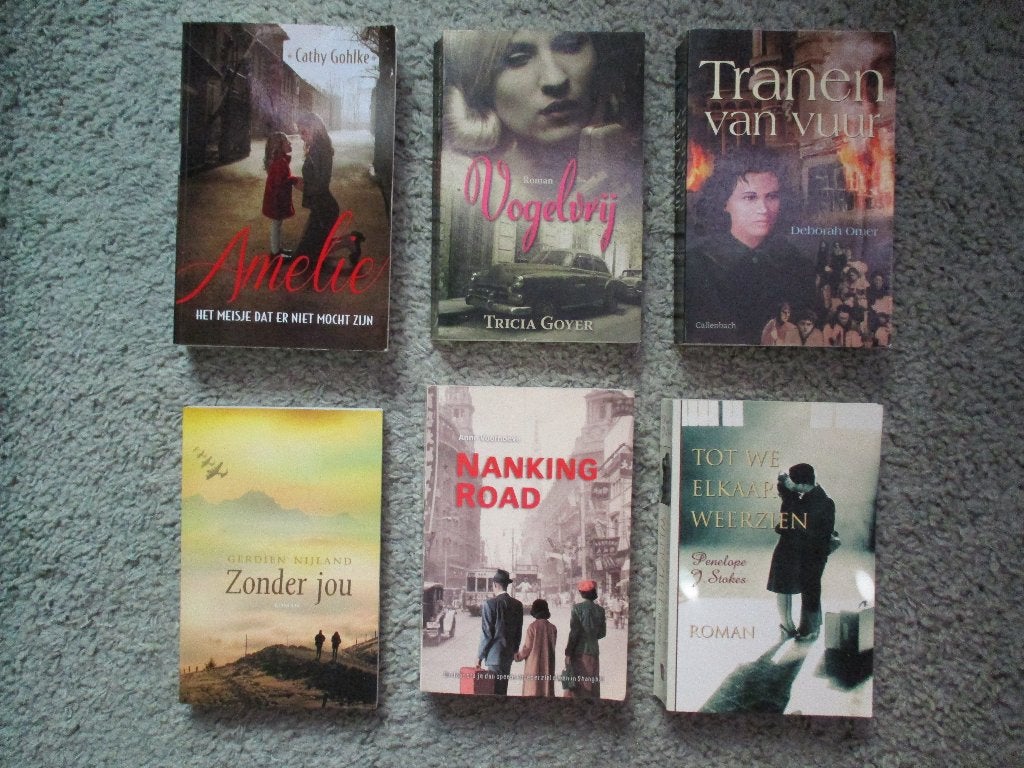 Tricia Goyer, Amelie ,Zonder jou etc 6 x christelijke romans, Boeken, Ophalen of Verzenden, Gelezen