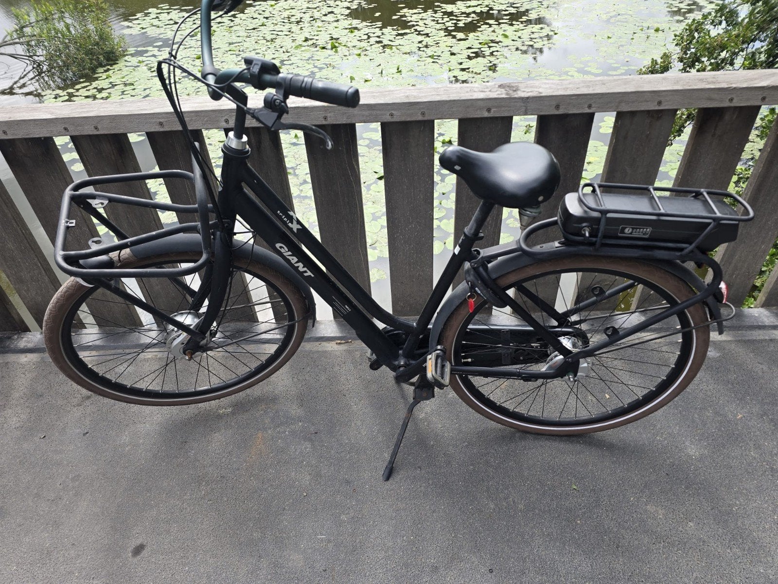 Giant Triplex elektrische damesfiets - accu laadt niet op, Ophalen of Verzenden