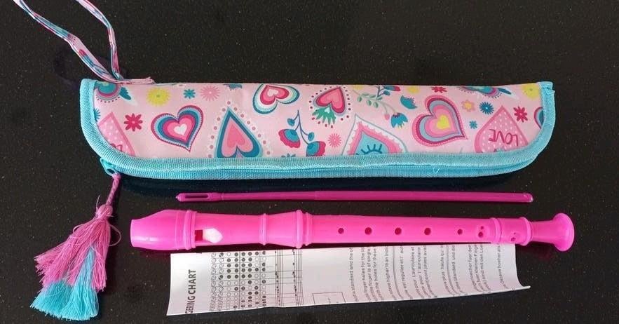 Roze sopraan blokfluit met etui en schoonmaakstaafje, Muziek en Instrumenten, Ophalen of Verzenden, Zo goed als nieuw, Sopraan of Sopranino