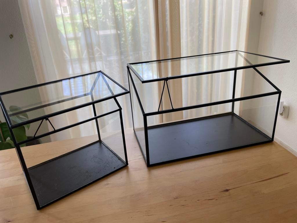 Set van 2 glazen kweekkastjes - Terrarium/Mini Kas, Tuin en Terras, Ophalen, Overige materialen, Gebruikt, Kweekkas
