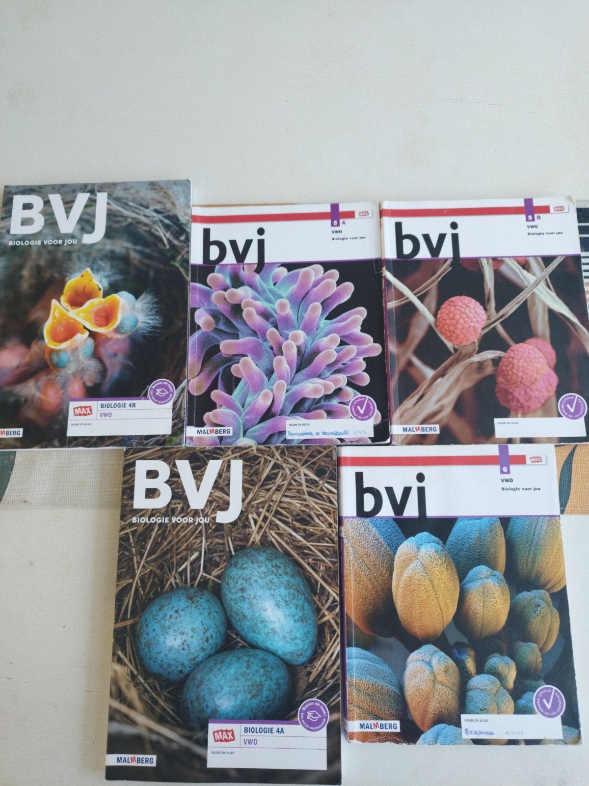 5 BVJ Biologie boeken VWO, Ophalen of Verzenden, Zo goed als nieuw, VWO, Biologie