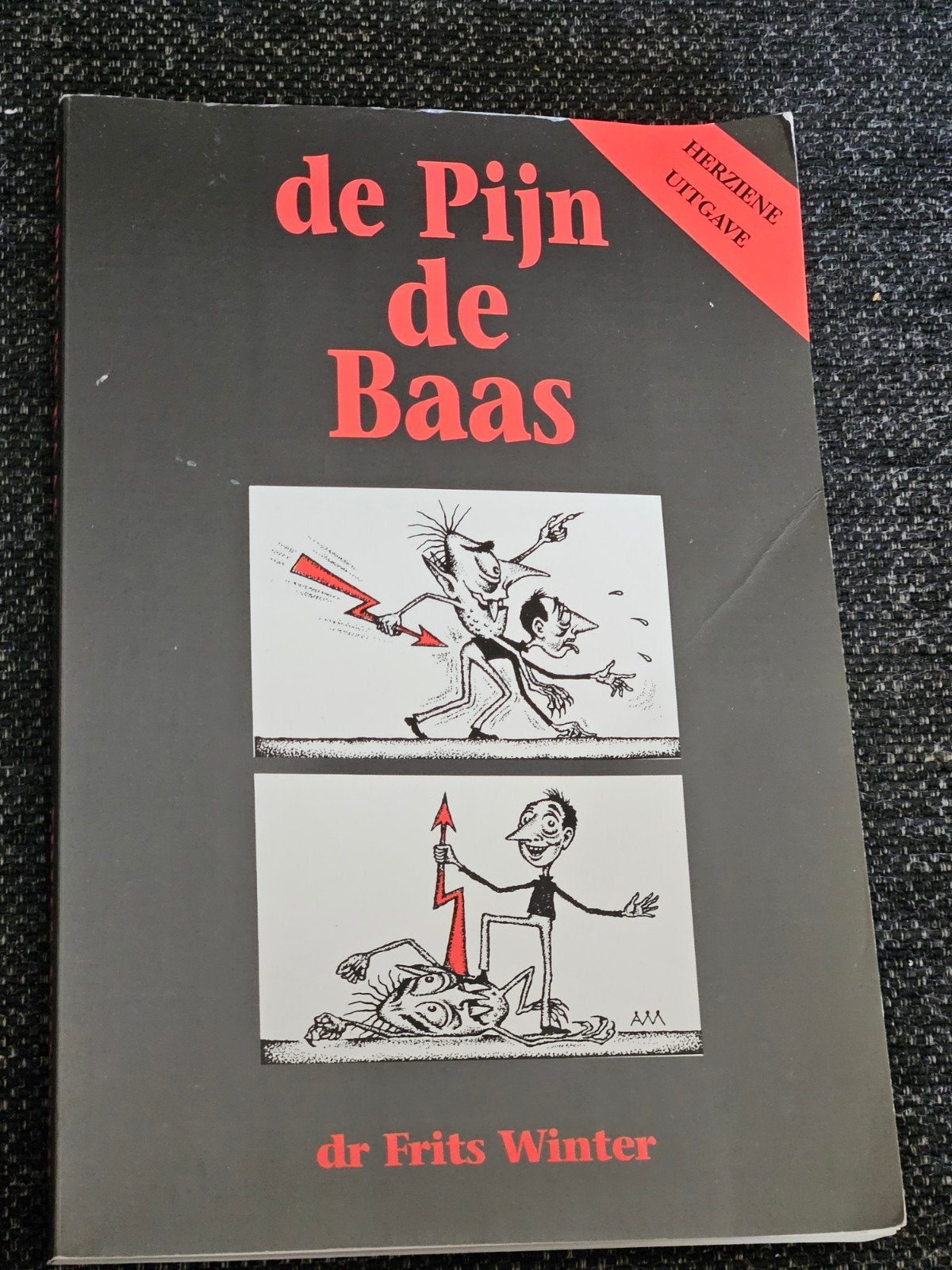 De Pijn de Baas - Dr. Frits Winter (Herziene Uitgave), Boeken, Ophalen of Verzenden
