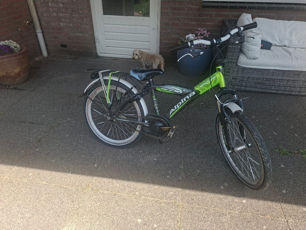 Jongensfietsen, Fietsen en Brommers, Fietsen | Jongens, Ophalen, Terugtraprem, Gebruikt, Alpina