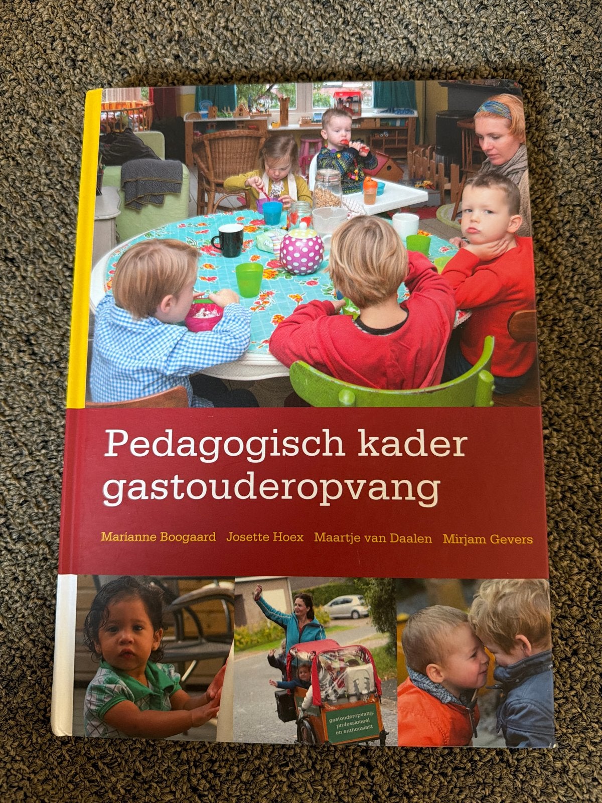 Pedagogisch kader gastouderopvang, Boeken, Studieboeken en Cursussen, Ophalen of Verzenden, Zo goed als nieuw