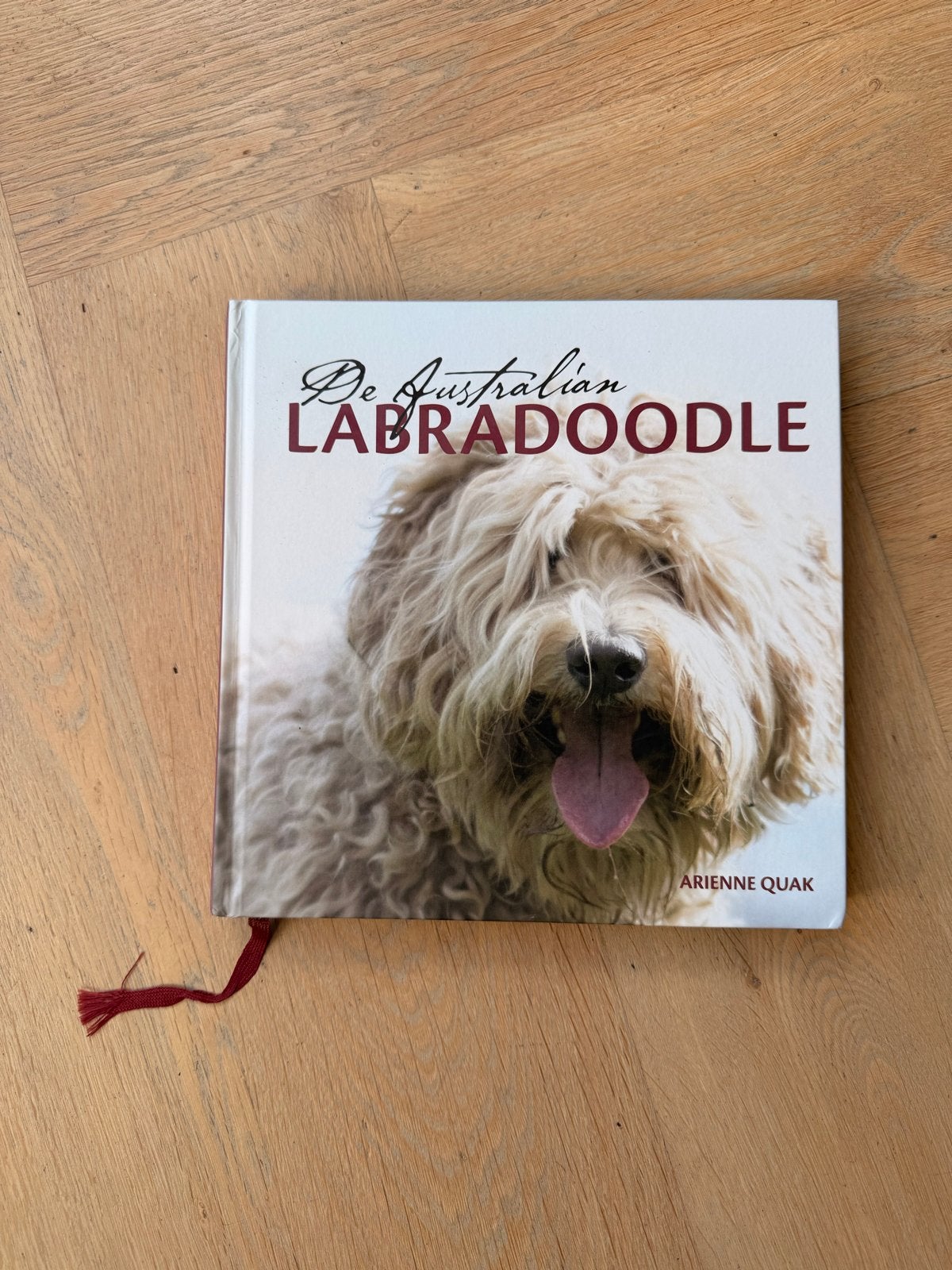 De Australian Labradoodle - Boek over hondenras, Ophalen of Verzenden, Zo goed als nieuw, Honden