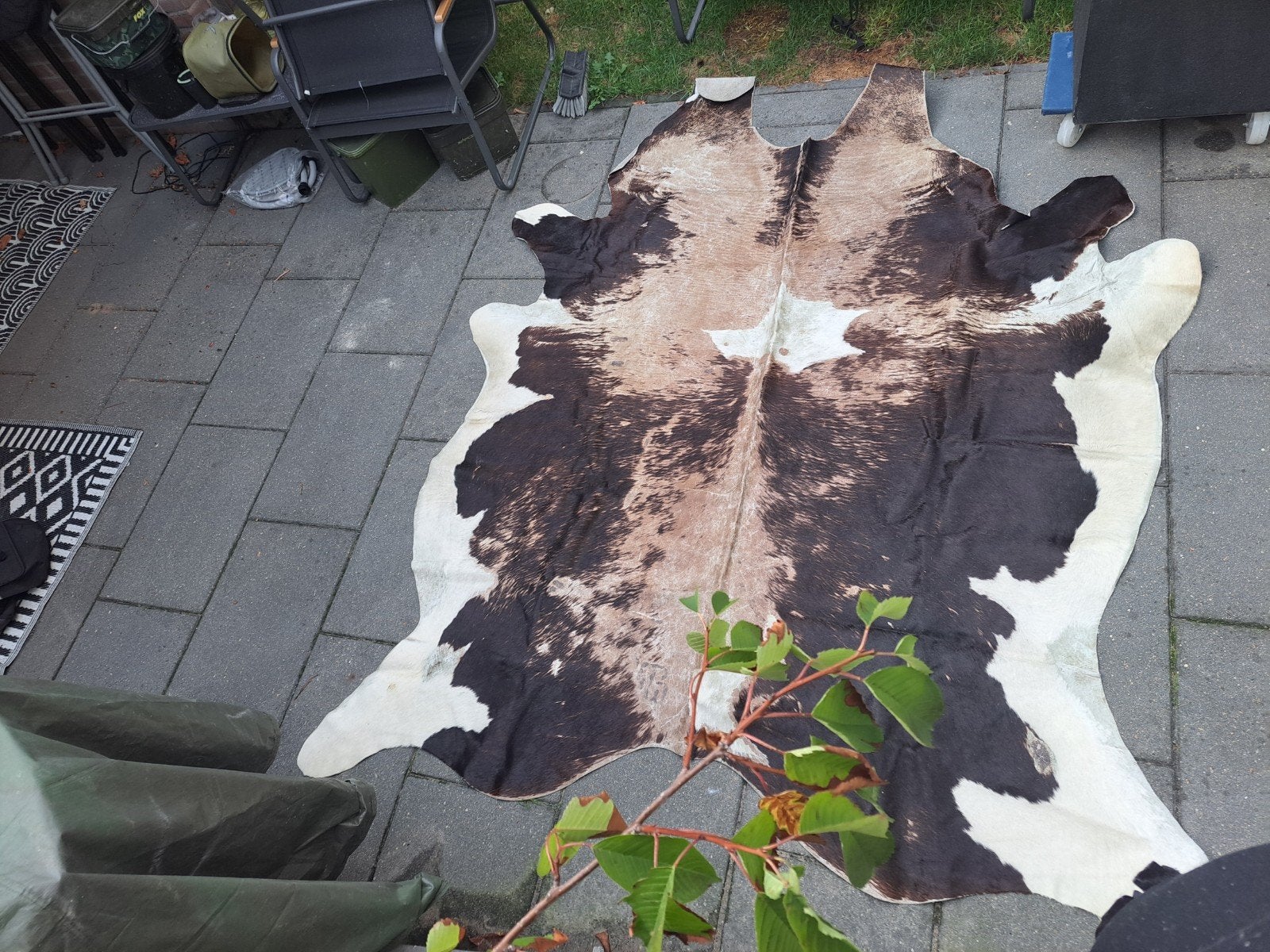 groot koeien huid te koop, Ophalen, Zo goed als nieuw, Rechthoekig, 200 cm of meer
