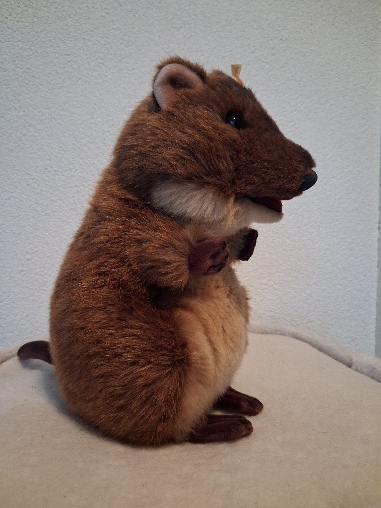 Steiff quokka, Verzenden, Zo goed als nieuw, Stoffen beer, Steiff