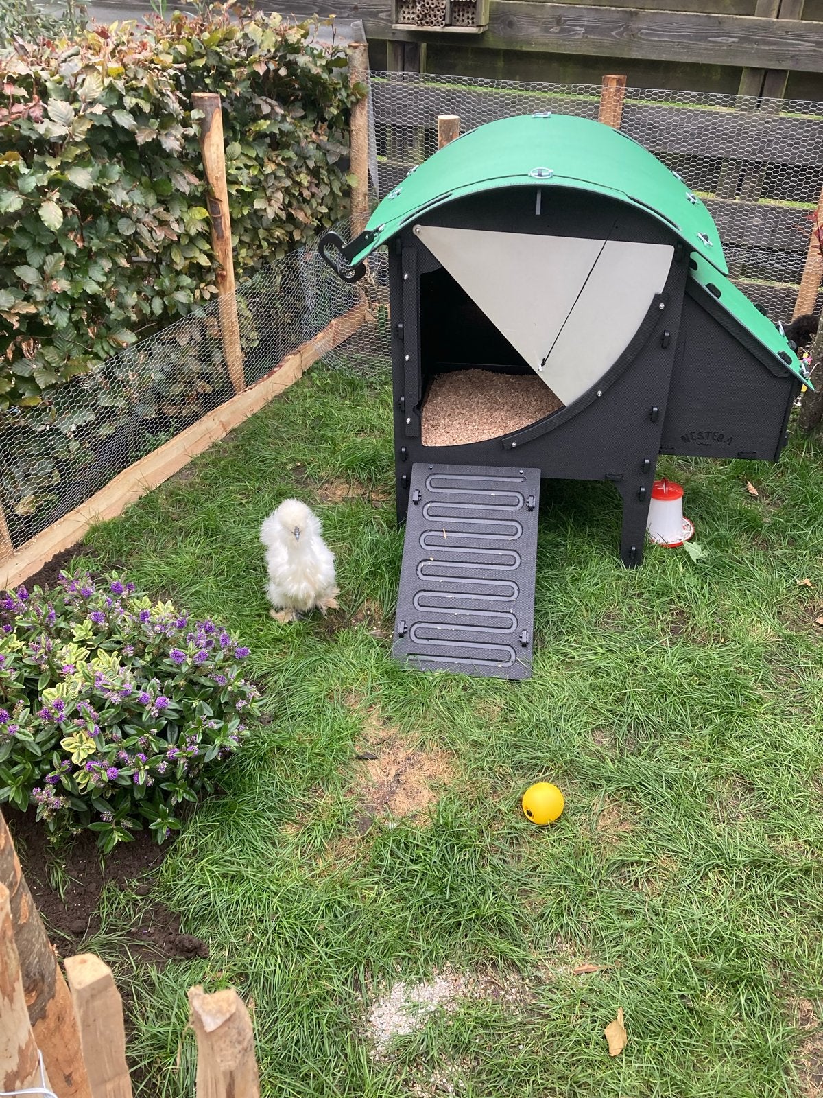 Kippenhok te koop door verhuizing., Dieren en Toebehoren, Ophalen, Zo goed als nieuw, Kippenhok of Kippenren