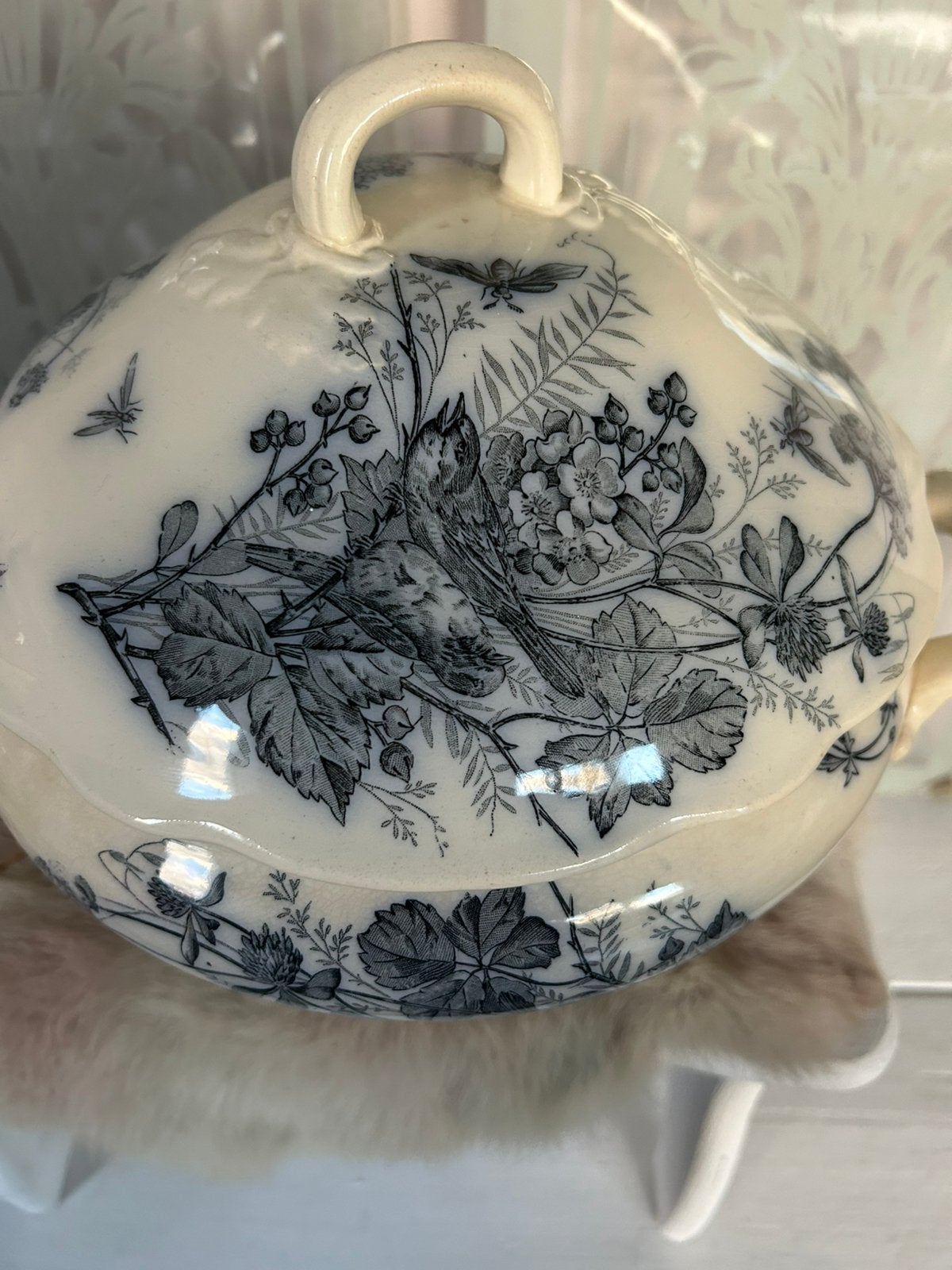 Mouzlin leclat 1890 antieke terrine met vogels, Ophalen