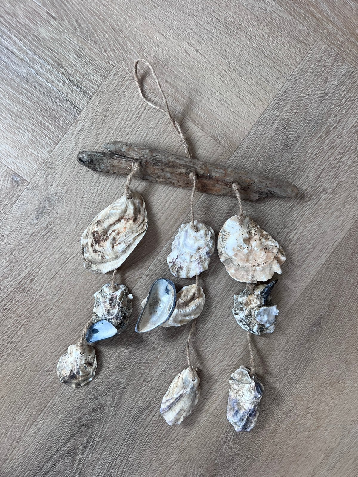 Schelpenhanger, Verzamelen, Ophalen of Verzenden, Schelp(en)