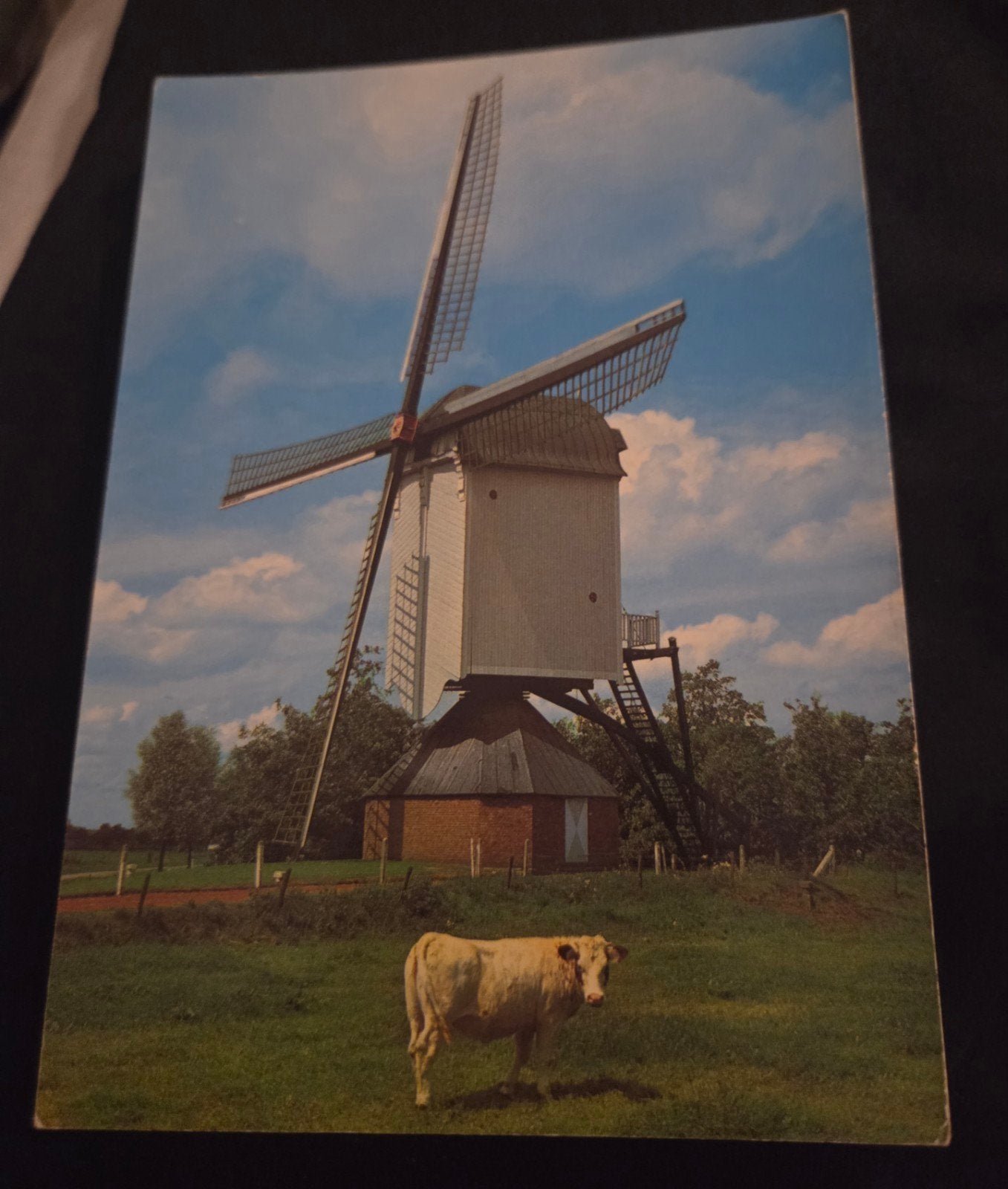 Sprang-Capelle Holland - Molen en Koe, Verzenden, 1960 tot 1980, Ongelopen, Noord-Brabant