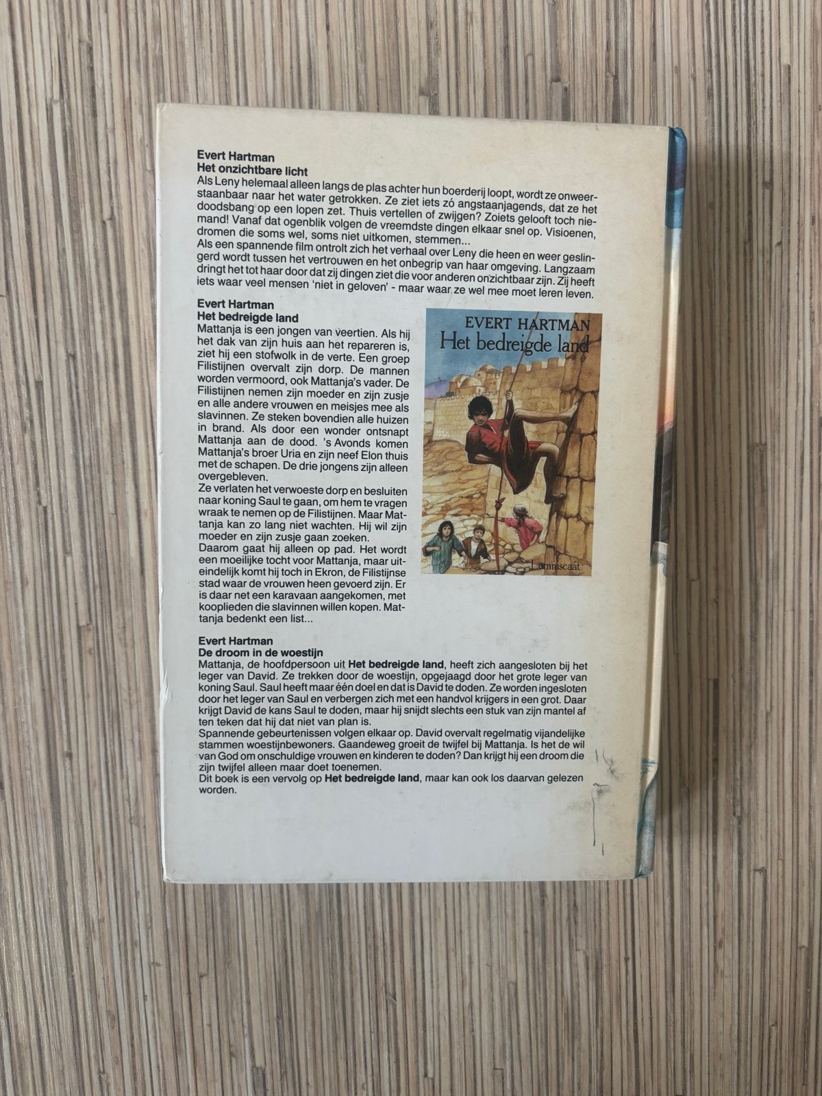 Het Onzichtbare Licht - Evert Hartman (Hardcover), Boeken, Ophalen of Verzenden, Gelezen