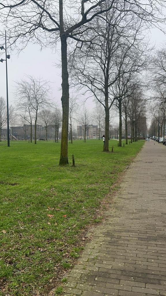 Wiskunde bijles aangeboden, Diensten en Vakmensen, Bijles, Privé-les en Taalles, Bijles