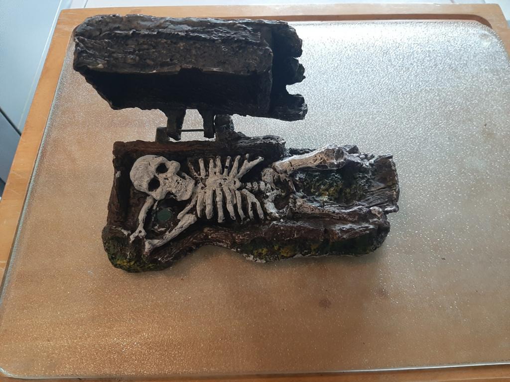 15 aquarium ornamenten 15 euro, Ophalen, Gebruikt, Decoratie