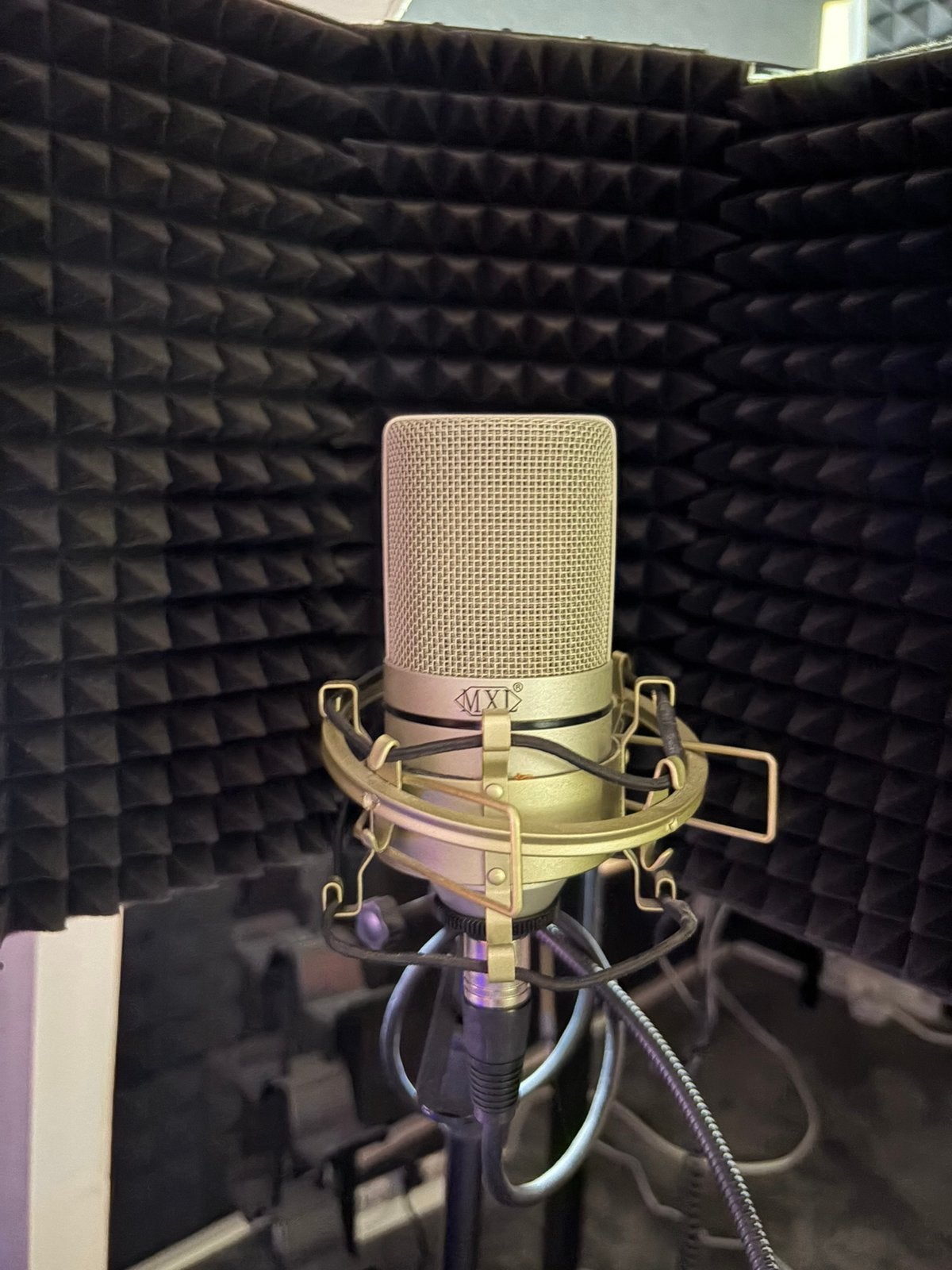 MXL 770 inclusief standaard en filter, Muziek en Instrumenten, Ophalen, Zo goed als nieuw
