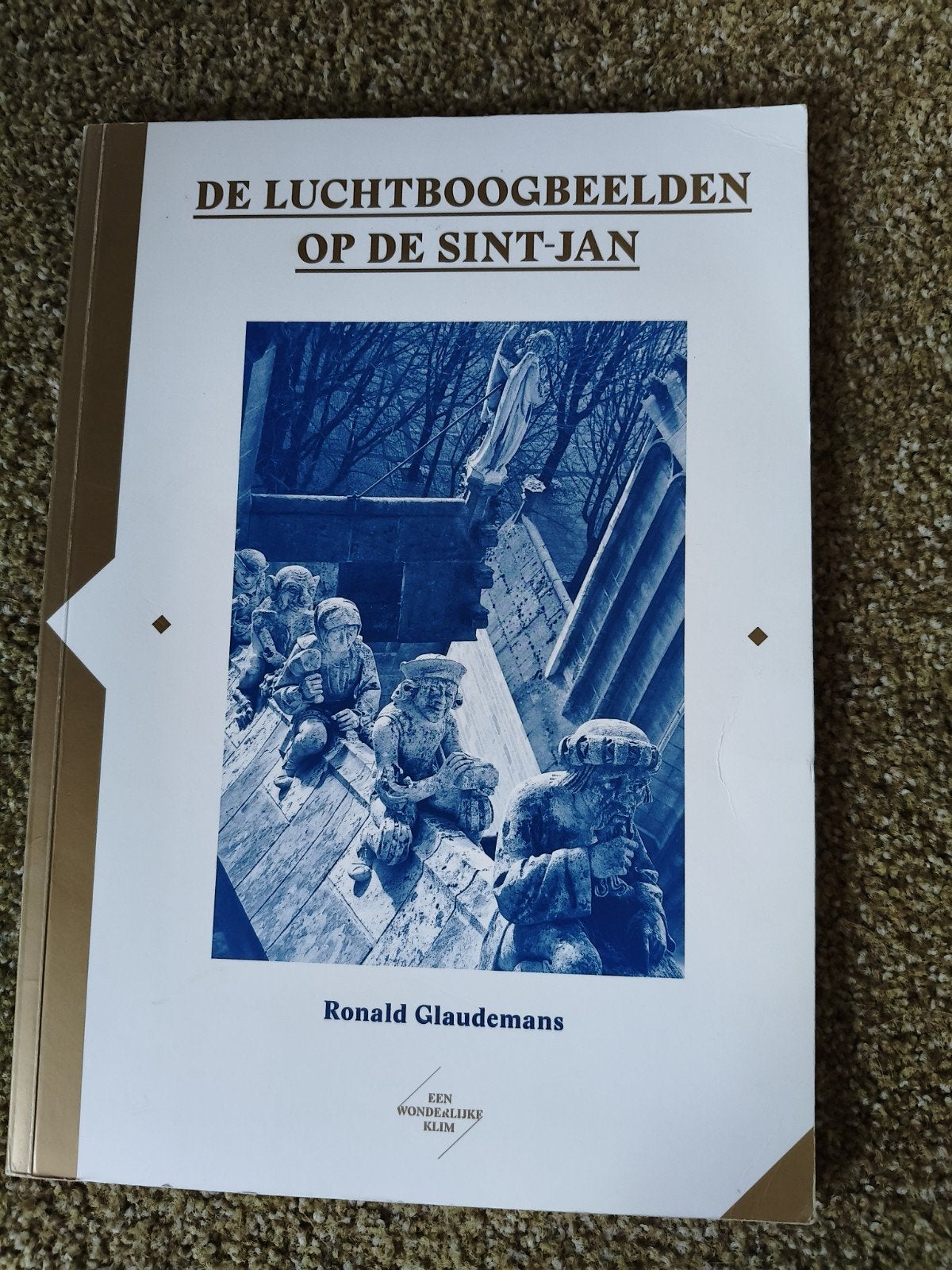 De Luchtboogbeelden op de Sint-Jan - Ronald Glaudemans, Boeken, Ophalen of Verzenden, Zo goed als nieuw, Overige onderwerpen, Ronald Glaudemans