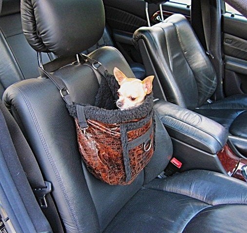 Hondentas draagtas autostoel mand tas kleine hond chihuahua, Dieren en Toebehoren, Ophalen of Verzenden, Nieuw, Draagtas/-zak