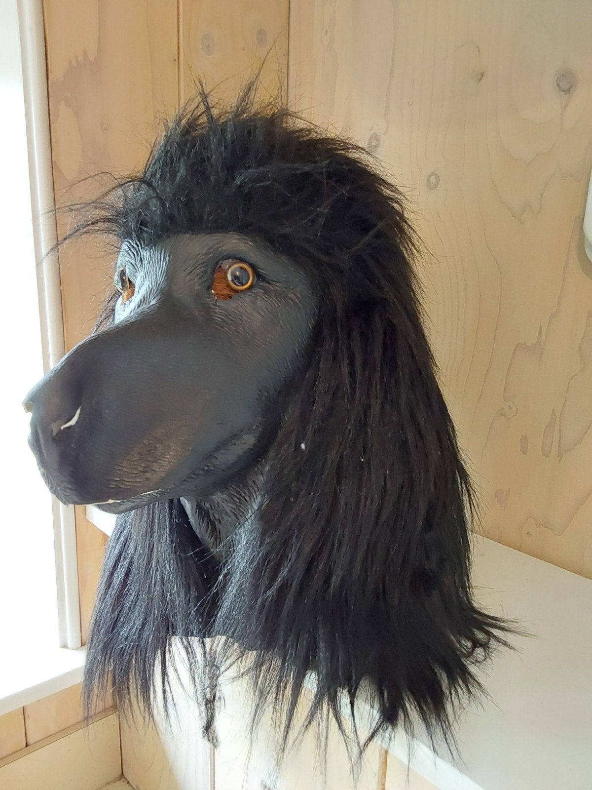 Masker Hond. 15-, Ophalen of Verzenden
