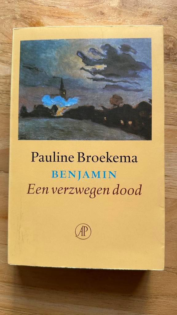 Pauline Broekema - Benjamin, Boeken, Historische romans, Gelezen, Ophalen of Verzenden