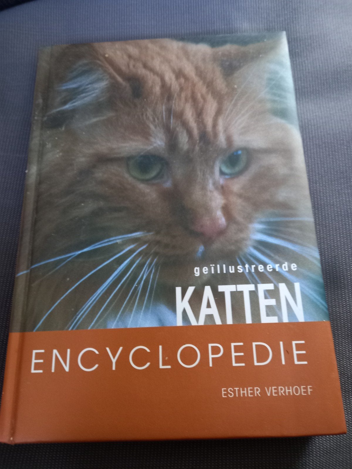Geïllustreerde Katten Encyclopedie - Esther Verhoef, Boeken, Encyclopedieën, Ophalen of Verzenden