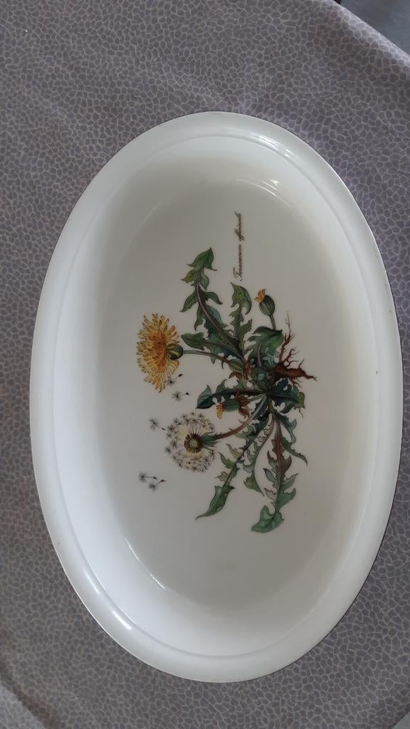 V&B Schaal Botanica., Ophalen of Verzenden