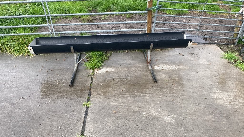 voerbak schaap pony geit, Meerdere dieren, Schaap
