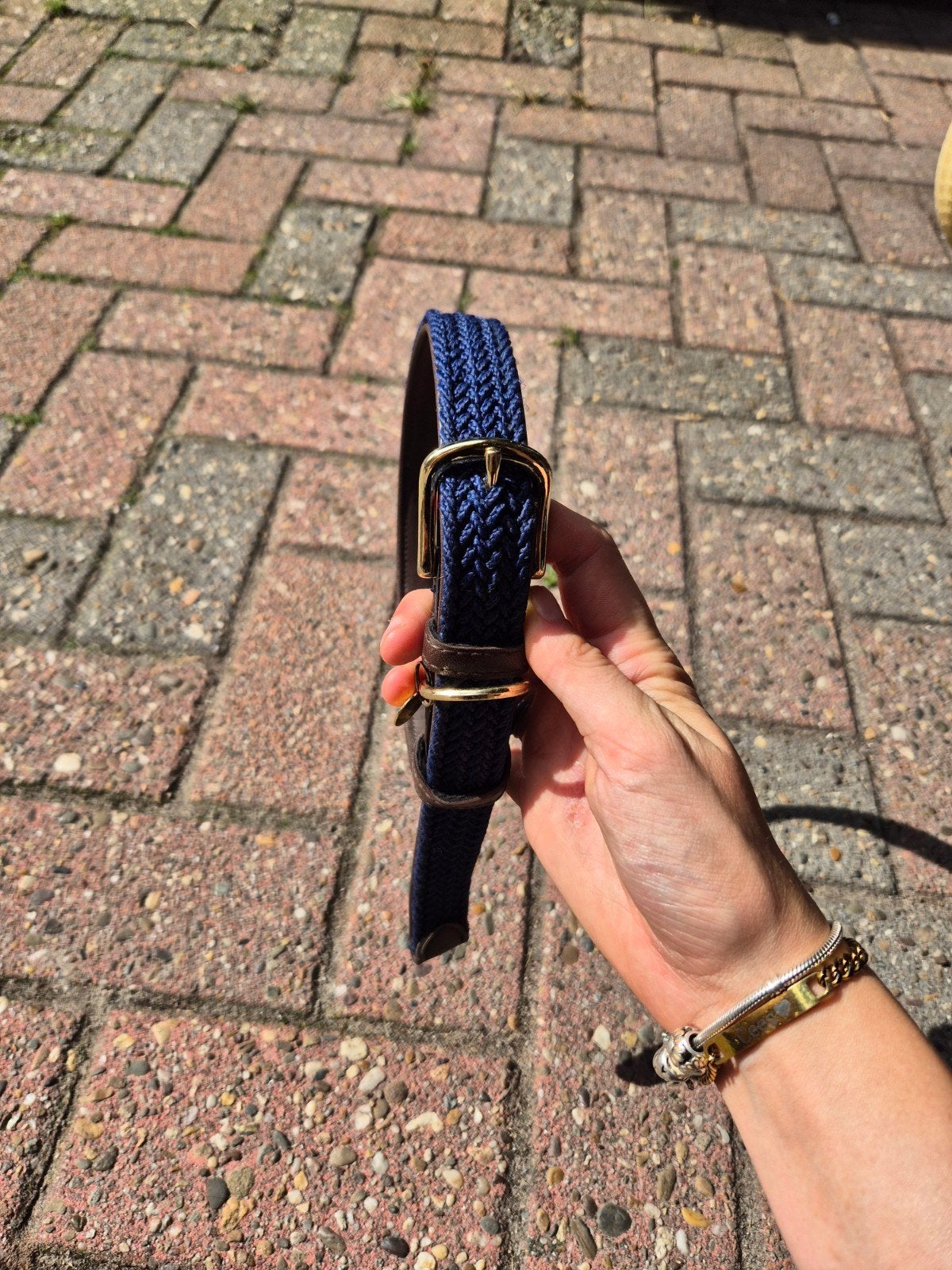 honden tuigje en halsband, Ophalen, Zo goed als nieuw