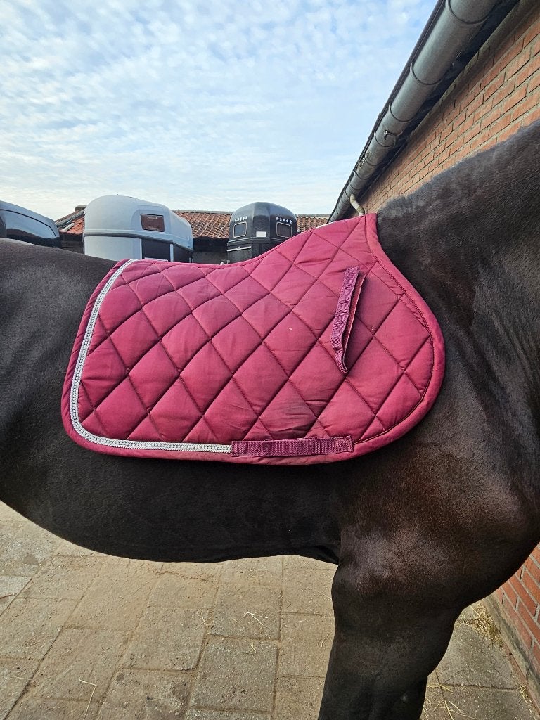 Equitheme Classic Bordeaux Rood, Full (L), Gebruikt, Overige merken, Rood