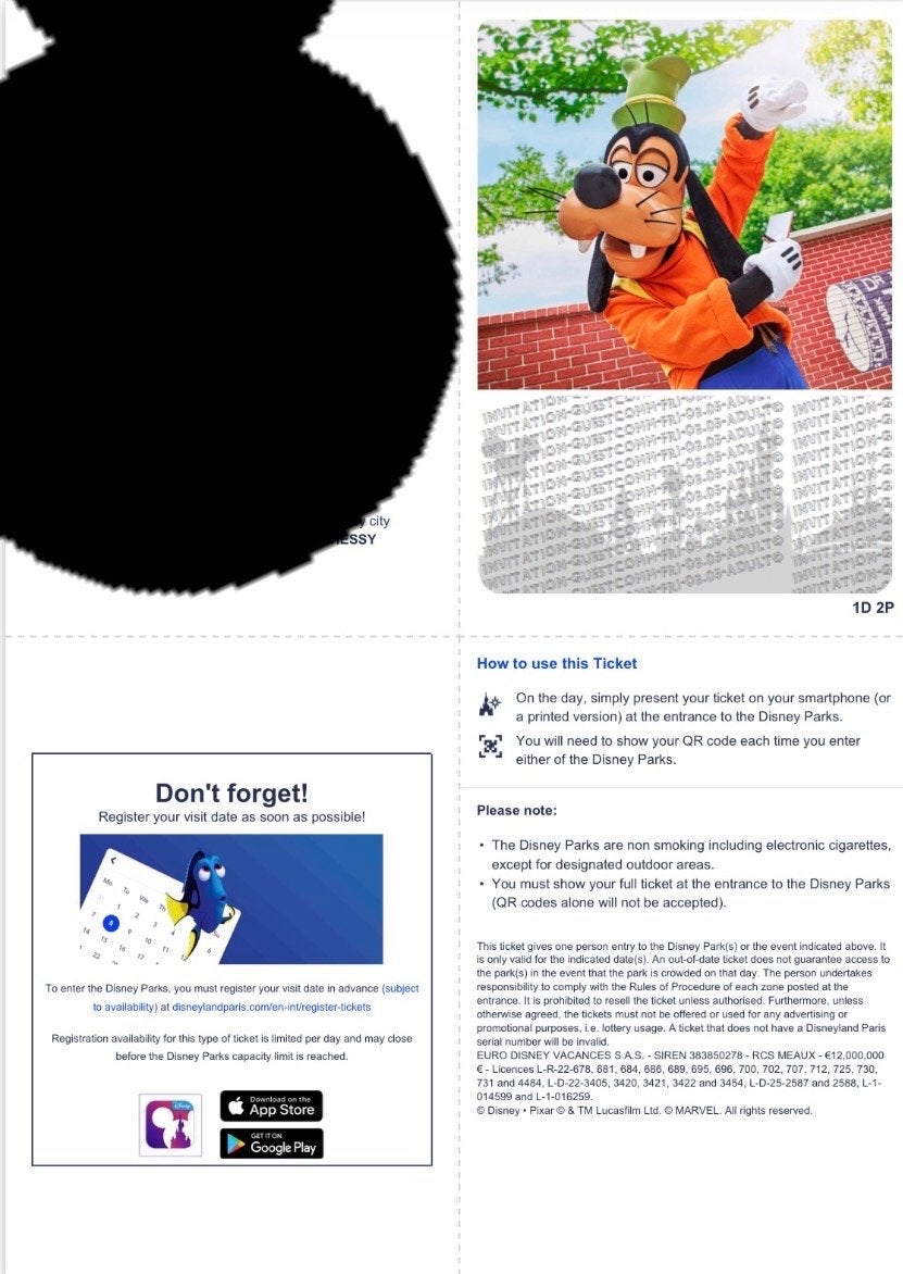 13 Disneyland parijs tickets, Drie personen of meer, Ticket of Toegangskaart