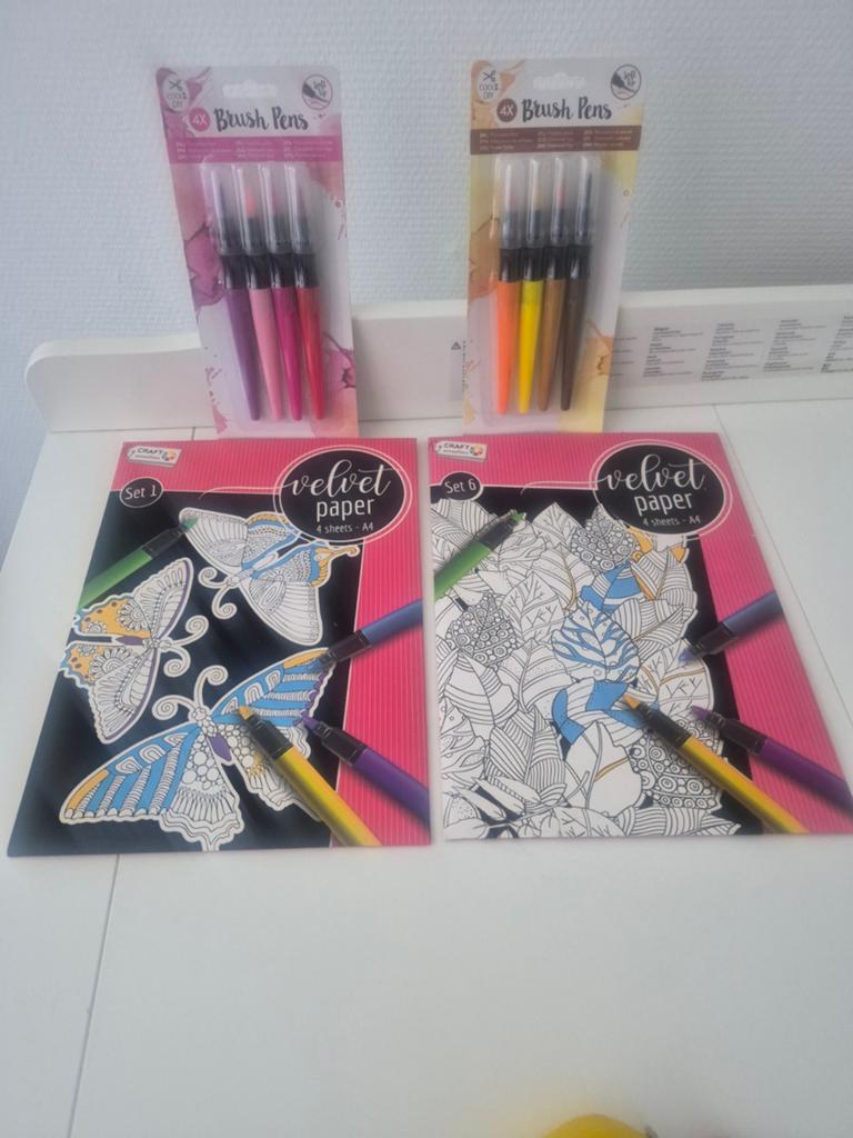 Creatief pakket: 2 velvet kleurplaten + 8 brush pens, Nieuw, Meerkleurig, Ophalen of Verzenden, Papier of Karton