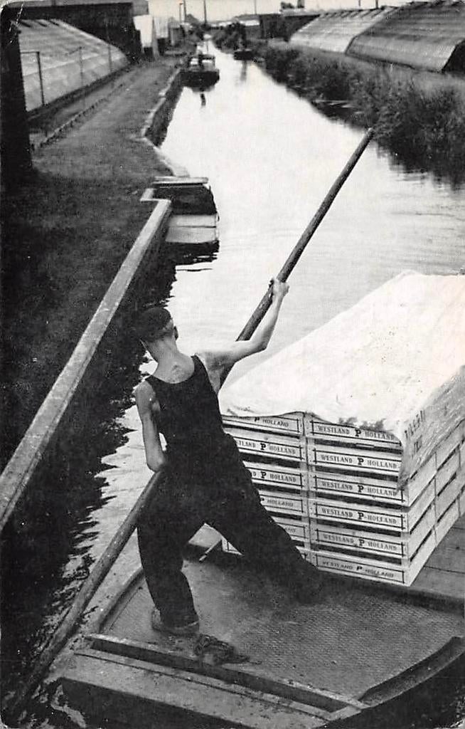 Westland- Schuit met groente op weg naar de veiling, Verzamelen, Ansichtkaarten | Nederland, Ophalen of Verzenden, 1940 tot 1960
