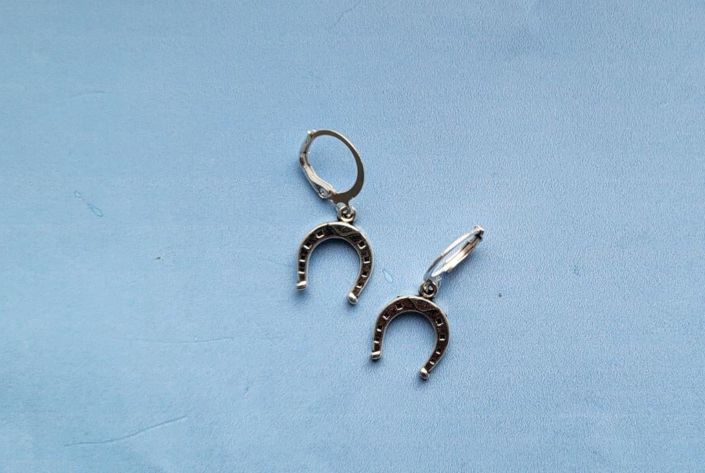 Zilverkleurige hoefijzer oorbellen, Overige materialen, Hangers, Verzenden, Zo goed als nieuw