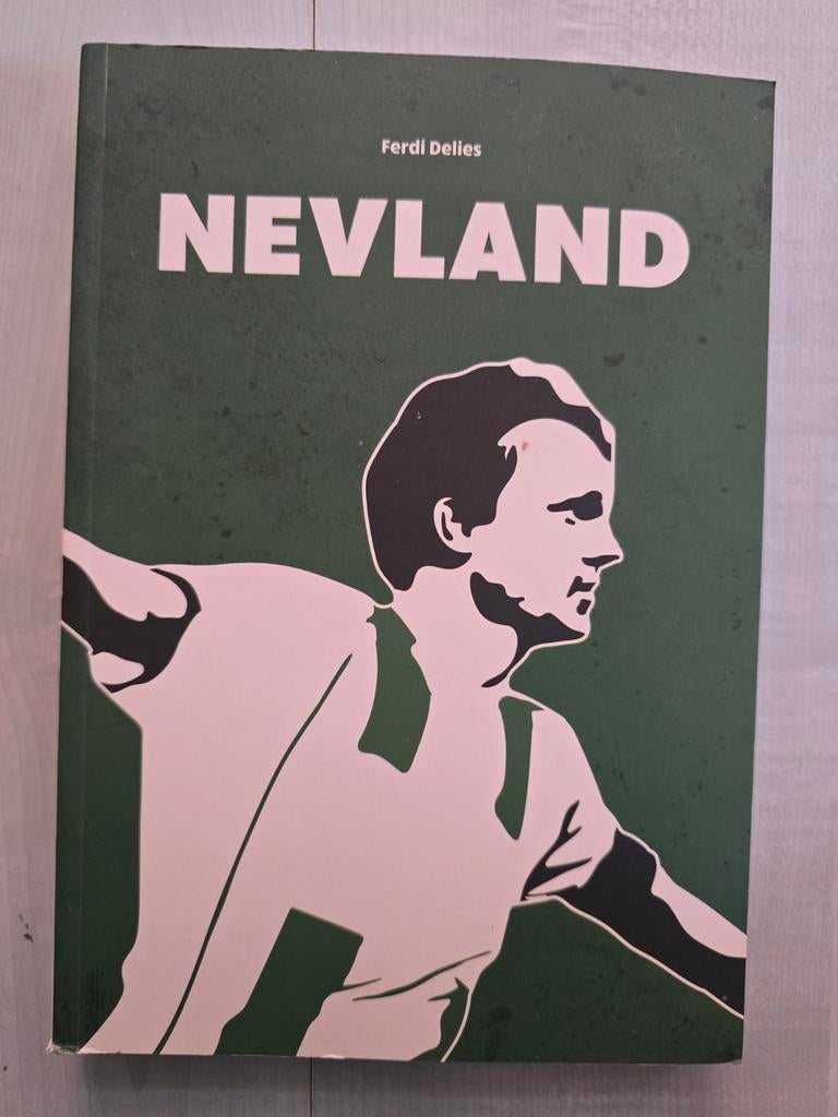 Nevland - Het verhaal van een Viking in Groningen, Ophalen of Verzenden, Zo goed als nieuw, Ferdi Delles, Balsport