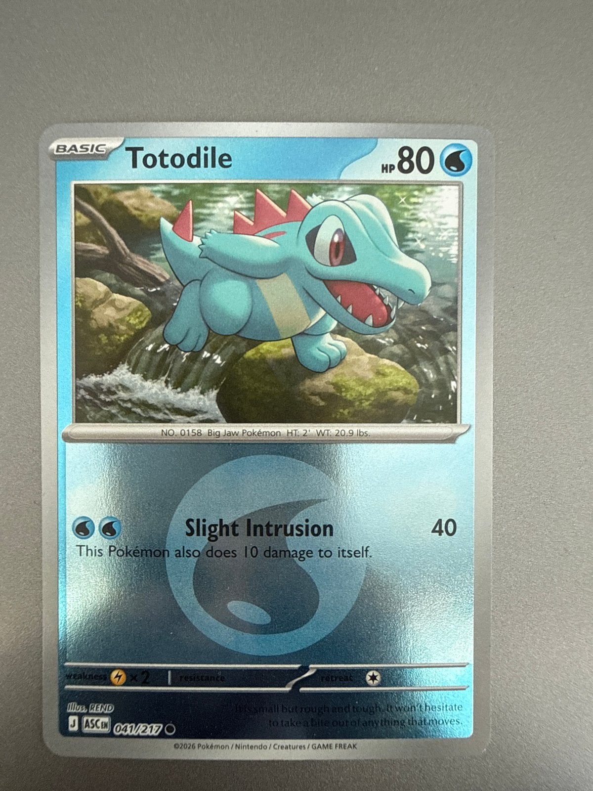 Pokémon Kaart: Totodile (041/217) - Nieuwstaat, Ophalen of Verzenden, Nieuw, Losse kaart, Foil