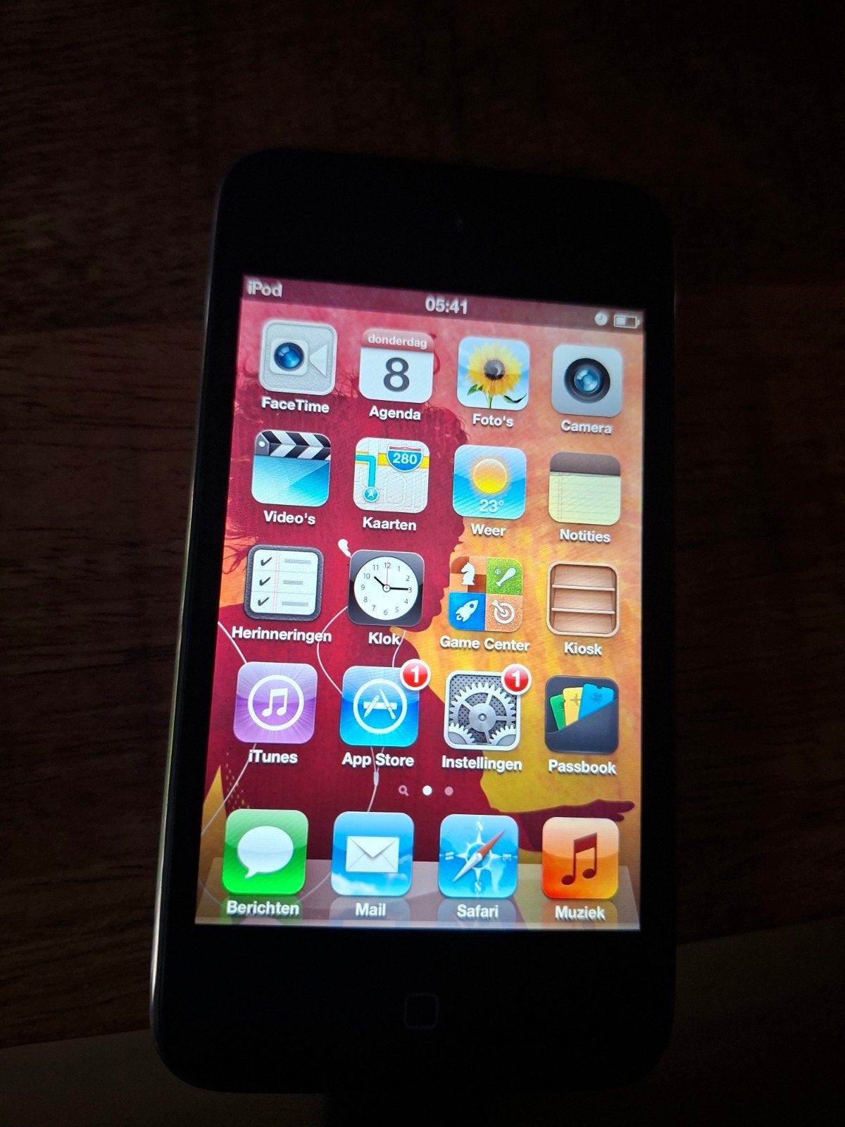 Apple iPod Touch (4e generatie) - Gebruikt, Ophalen of Verzenden, Gebruikt, Touch, 10 tot 20 GB