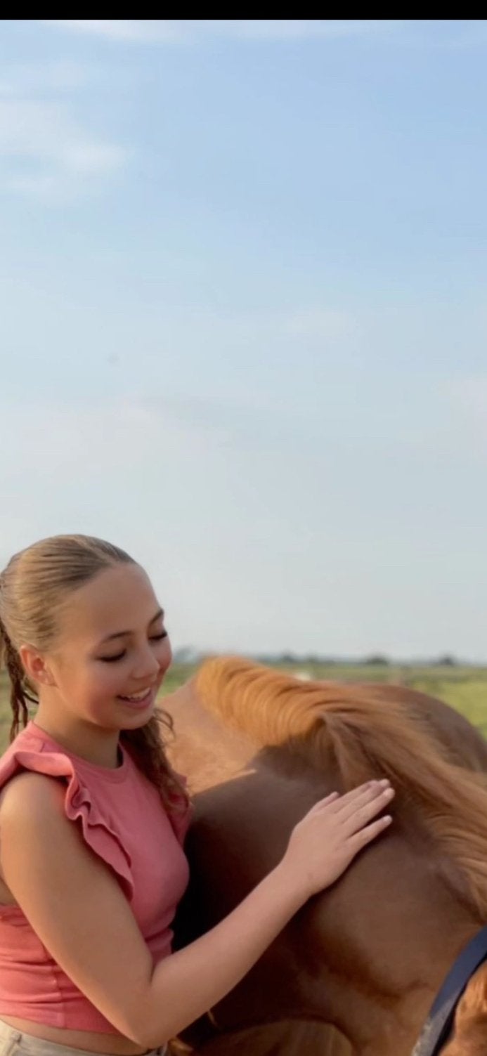 Leasepony/-paard gezocht (op verplaatsing)!, Dieren en Toebehoren, Ophalen of Verzenden, Zo goed als nieuw